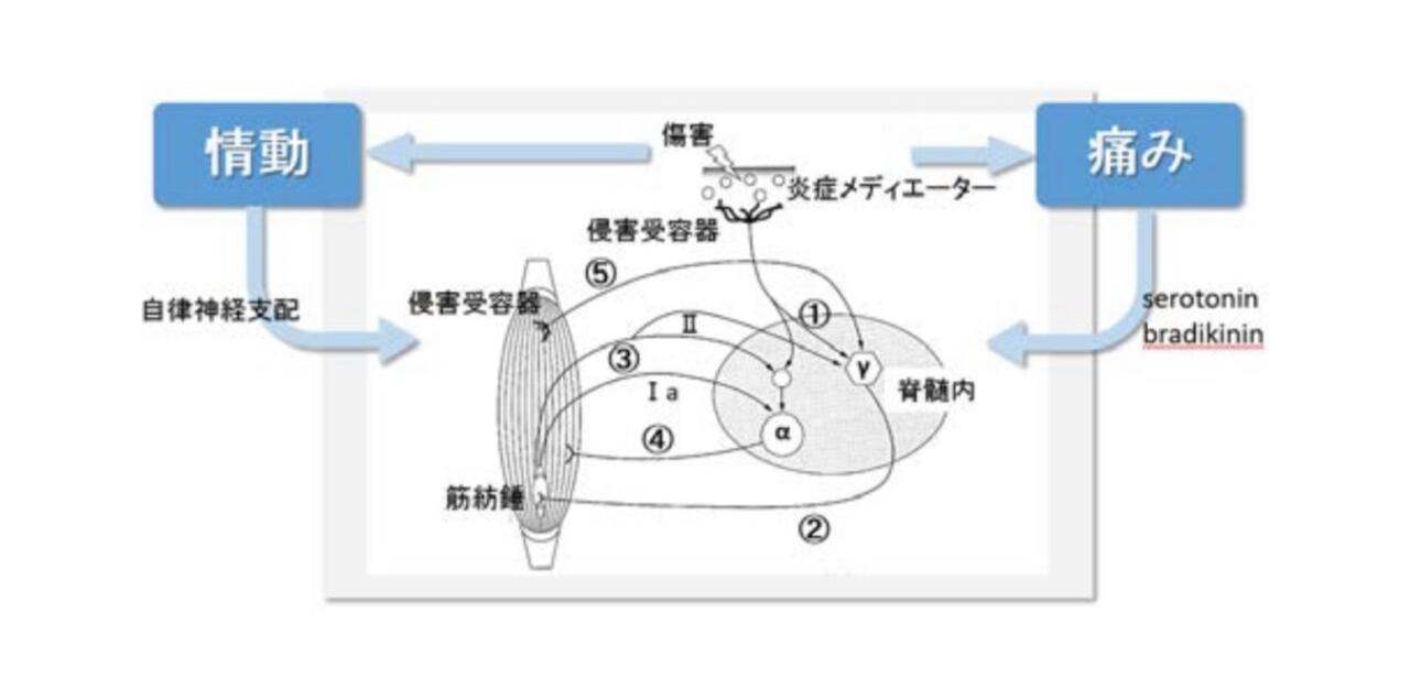 画像タイトル
